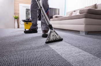 Carpet