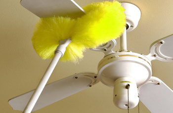 Fan&Lights