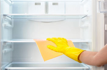 refrigerator cleaning
